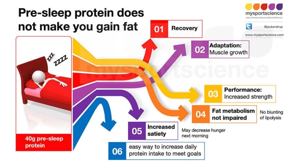 Pre-sleep protein for muscle recovery: "Sleep and Muscle Recovery: Pre-sleep protein intake supports overnight muscle protein synthesis and gains"